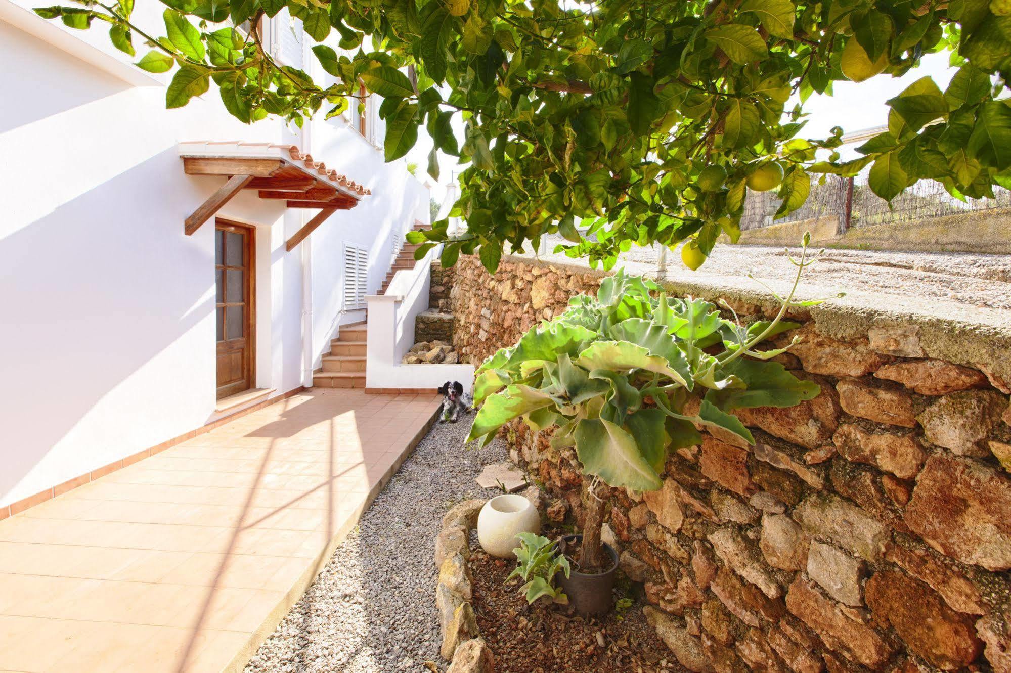 Apartamentos Colomar ซานตาเอวเลเรียเดสริว ภายนอก รูปภาพ